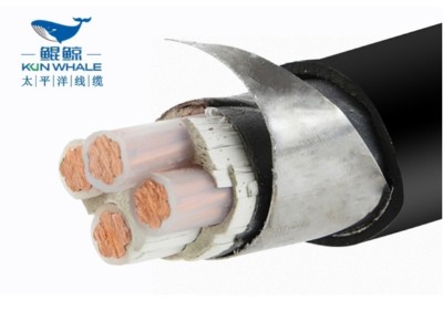 鄭州電纜廠商河南太平洋線纜告訴你阻燃鎧裝電纜型號(hào)規(guī)格