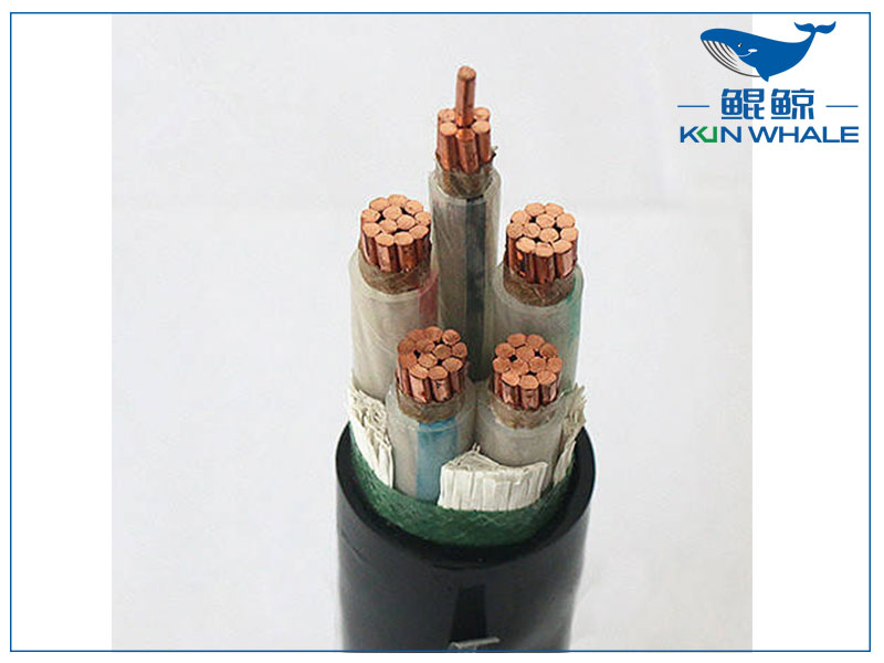 鄭州電纜廠帶你了解wdz—yje是什么電纜？